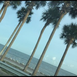 Meet your Posher, Ray